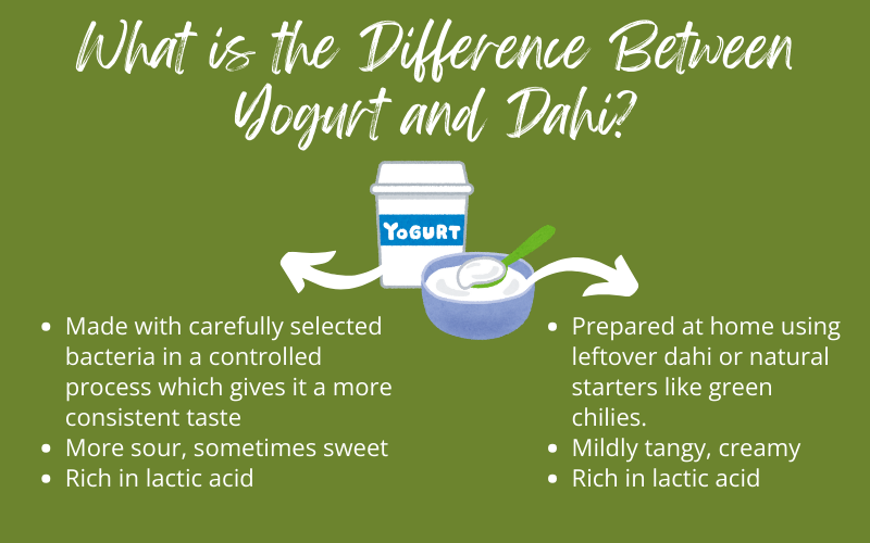 difference between yogurt and dahi
