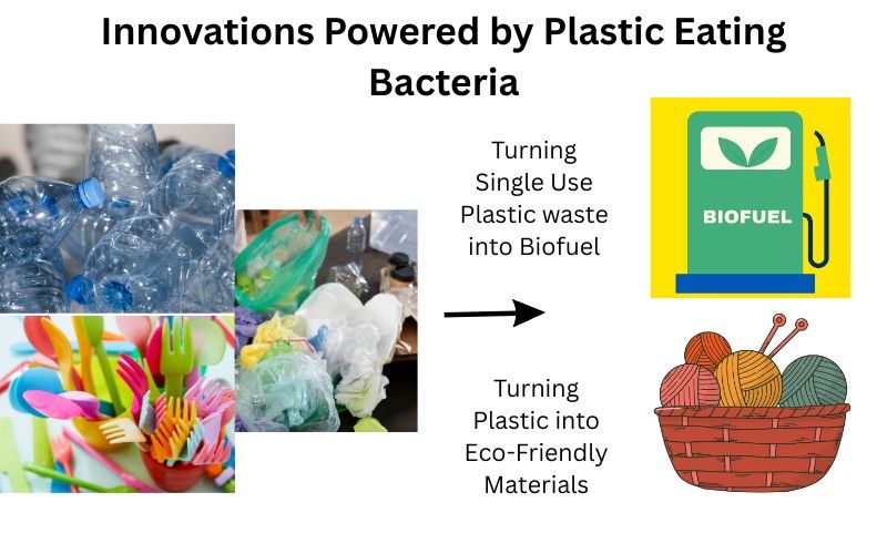 benefits of plastic eating bacteria