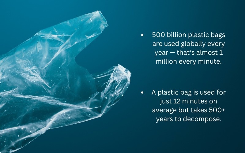 Effects of plastic on environment