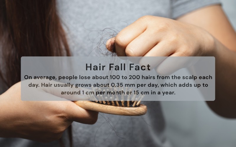 fun fact on hair fall