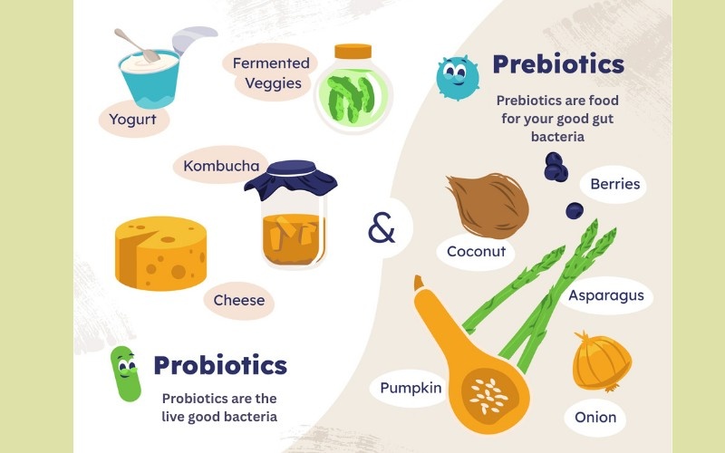 difference between prebiotics and probiotics