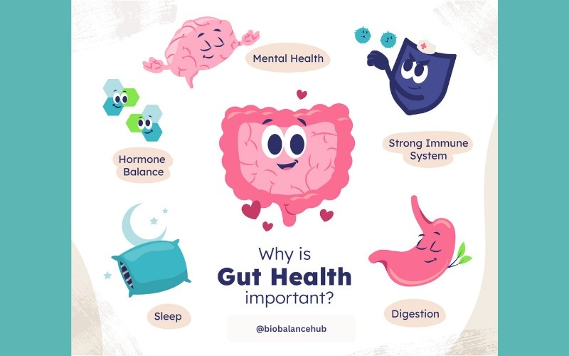 pre and probiotic capsule uses