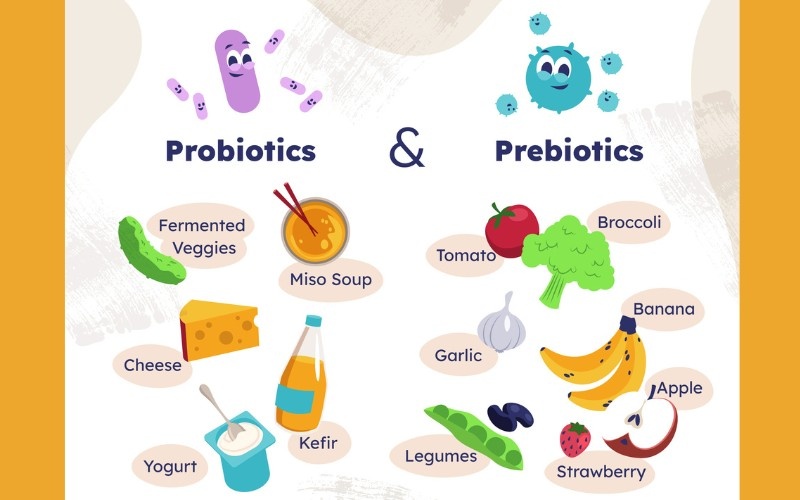 probiotics and prebiotics
