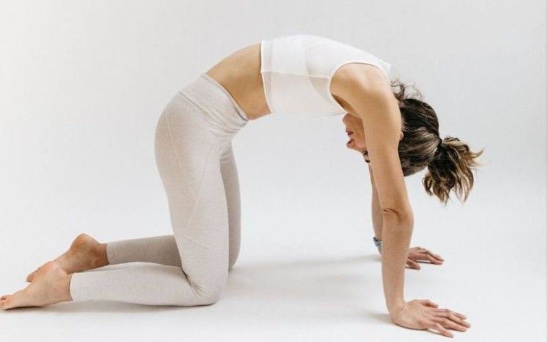 Bitilasana cow yoga pose for back pain