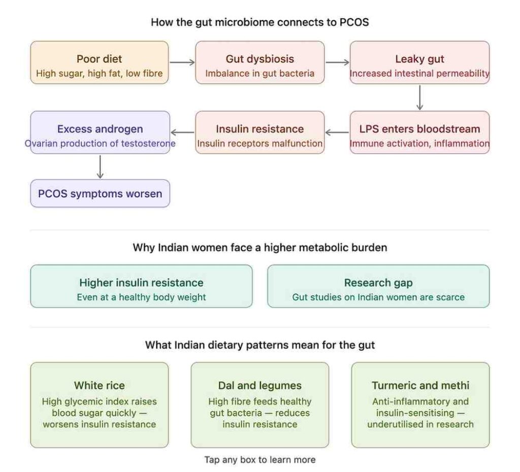 PCOS Gut Microbiome